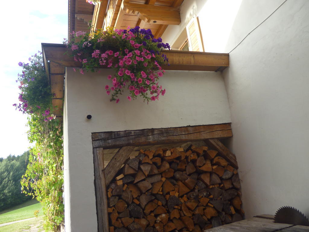 Radauerhof Villa Castelrotto Kültér fotó